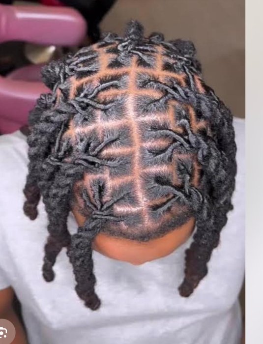 Locks and Natural Hair